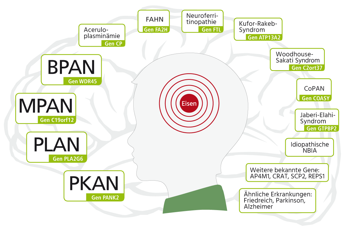 NBIA Variants