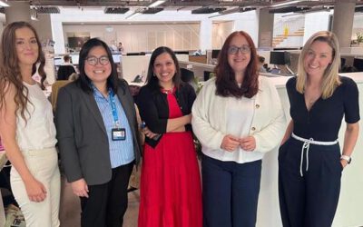 3D-Hirnorganoide für die BPAN-Gentherapie entwickelt